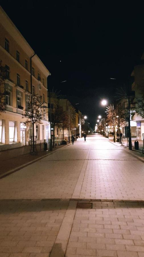 Downtown Apartment Rentals Šiauliai المظهر الخارجي الصورة