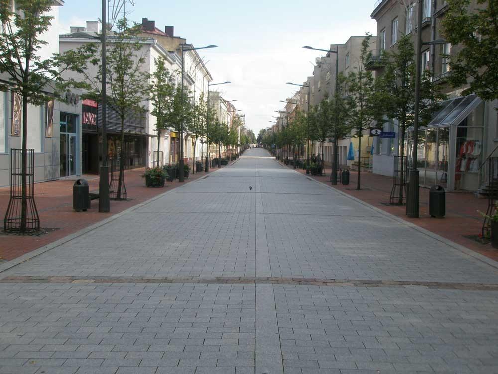 Downtown Apartment Rentals Šiauliai الغرفة الصورة
