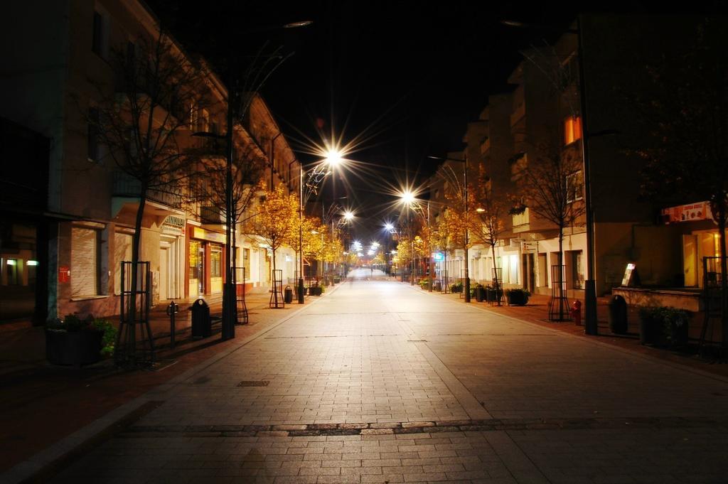 Downtown Apartment Rentals Šiauliai الغرفة الصورة